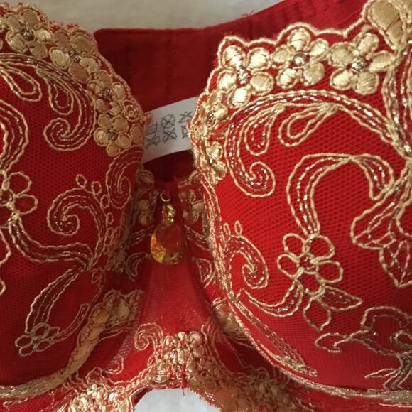 Wacoal Elegant Red and Gold Lace Bra - Picture 2 of 15